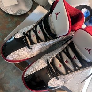Air jordan dub zero in excellent condition